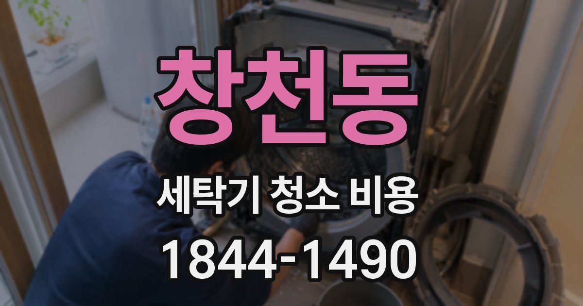 창천동 세탁기 청소 비용