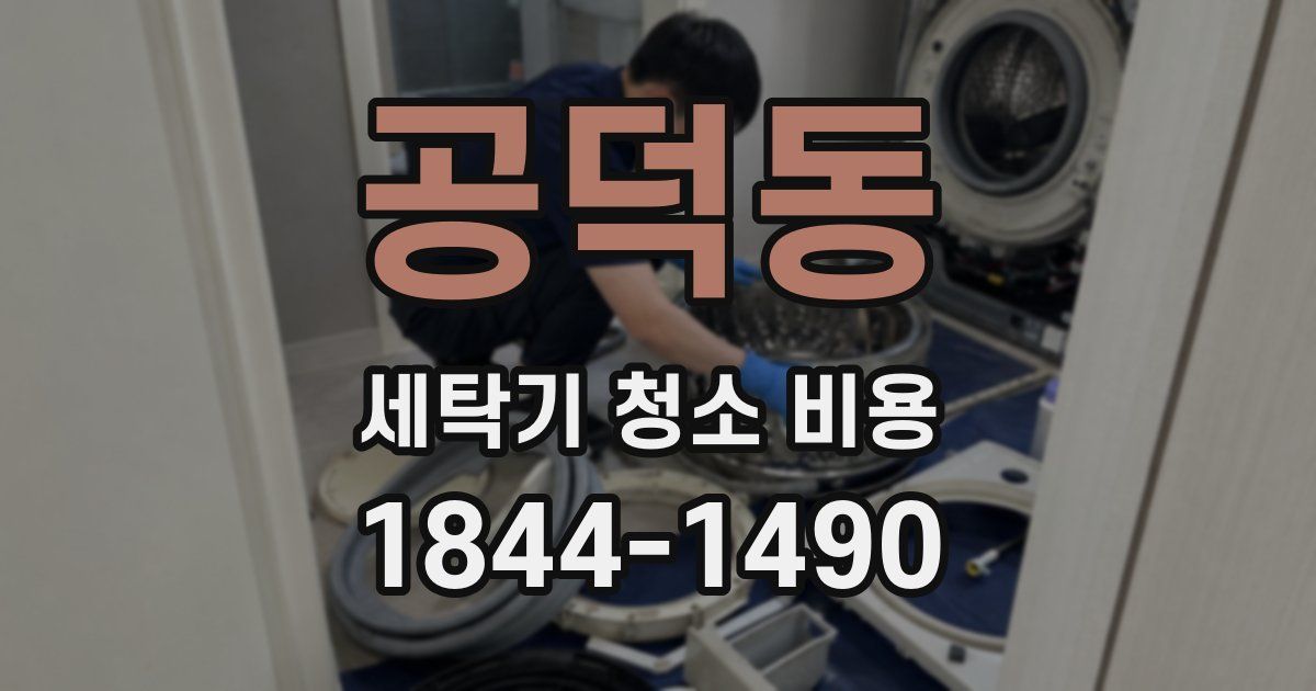 공덕동 세탁기 청소 비용