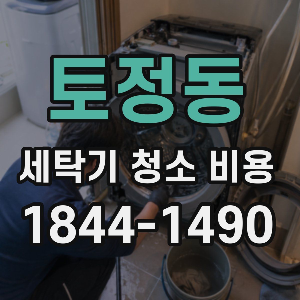 토정동 세탁기 청소 비용
