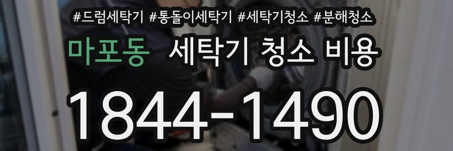 마포동 세탁기 청소 비용