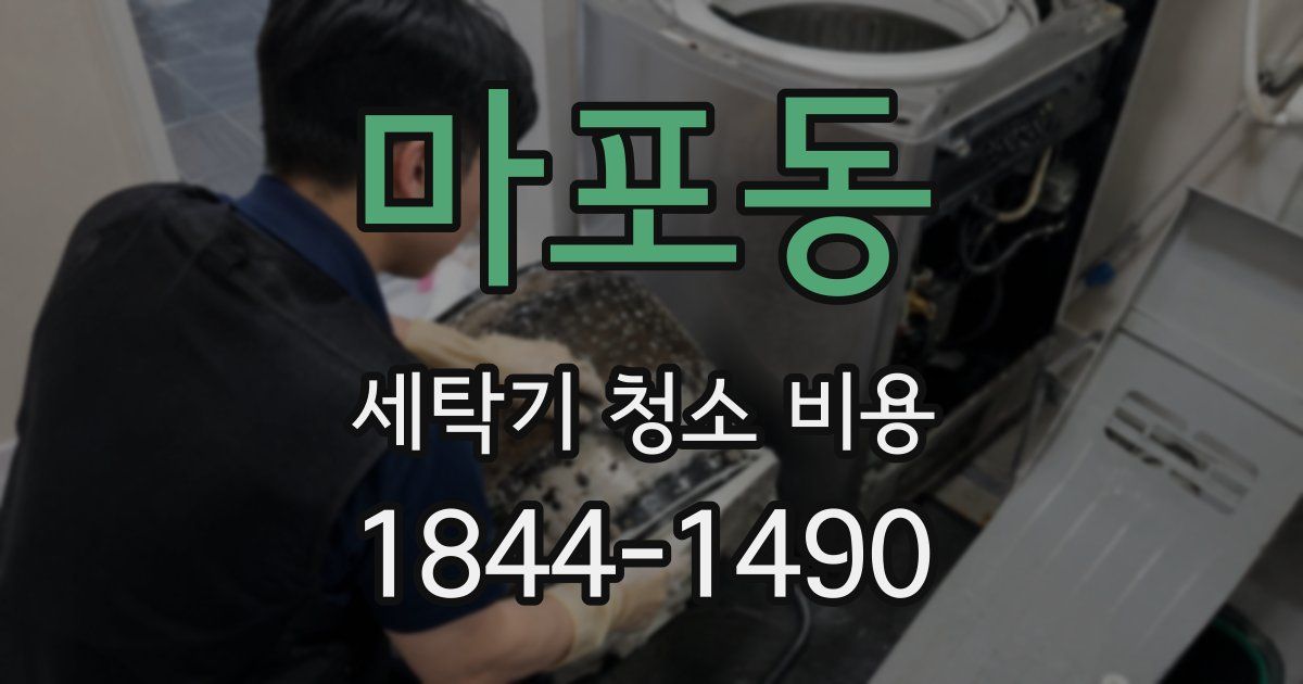 마포동 세탁기 청소 비용