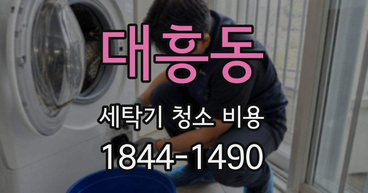 대흥동 세탁기 청소 비용