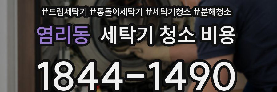 염리동 세탁기 청소 비용
