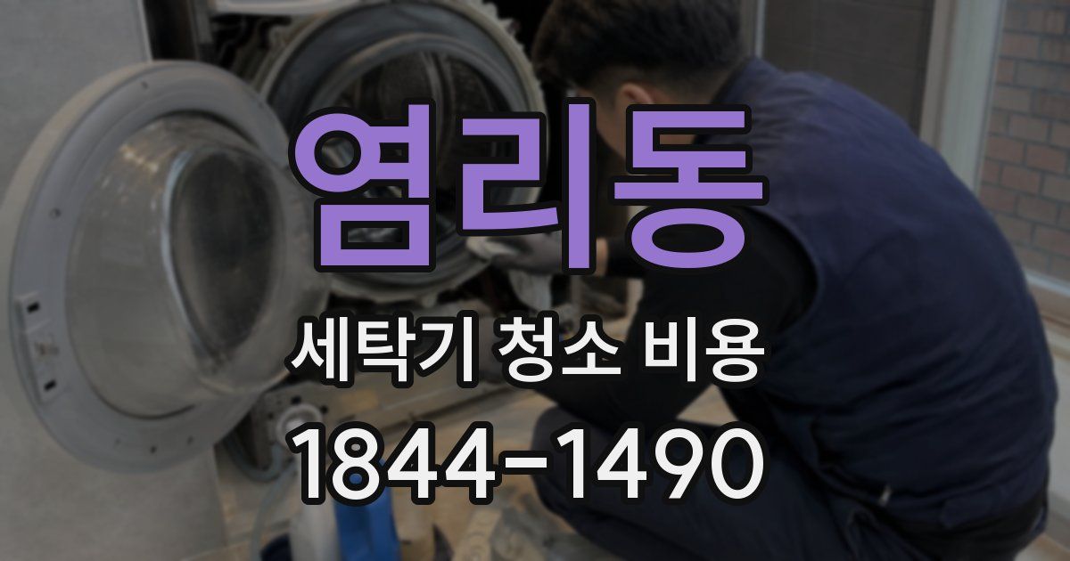 염리동 세탁기 청소 비용