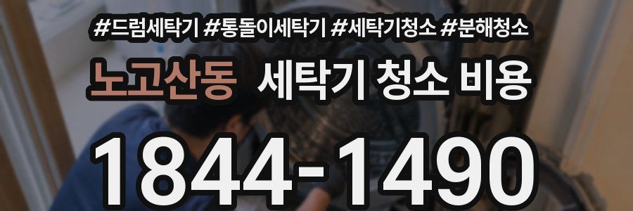 노고산동 세탁기 청소 비용