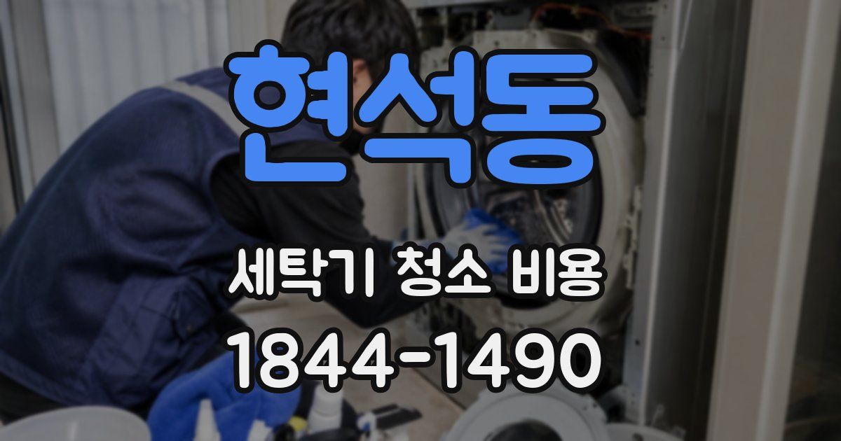 현석동 세탁기 청소 비용