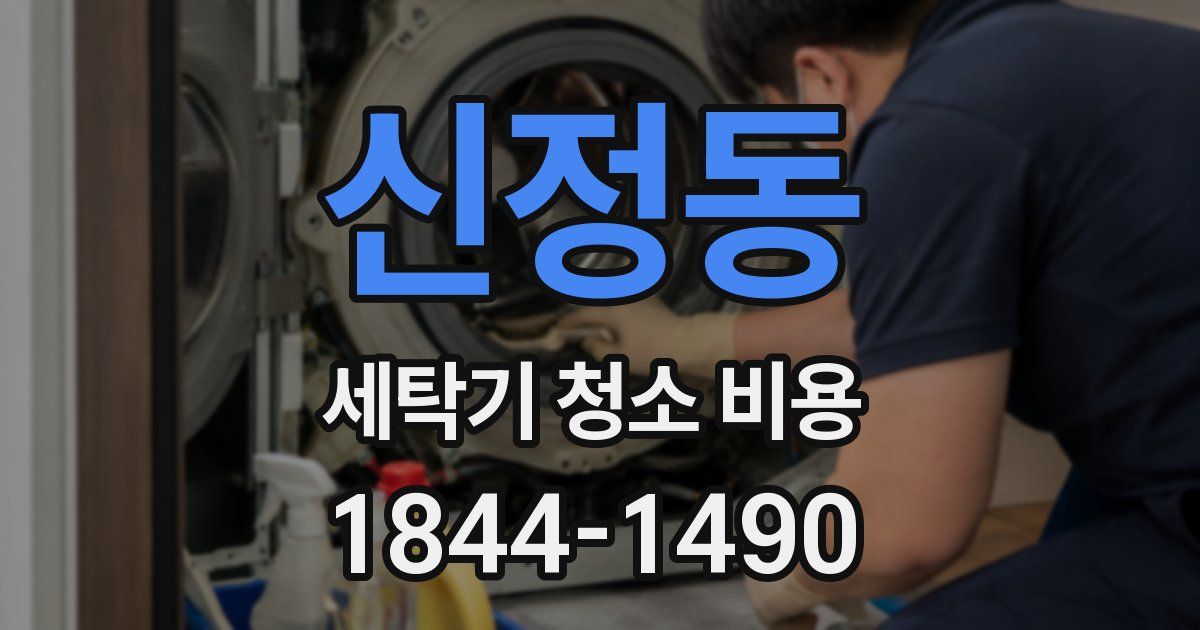 신정동 세탁기 청소 비용