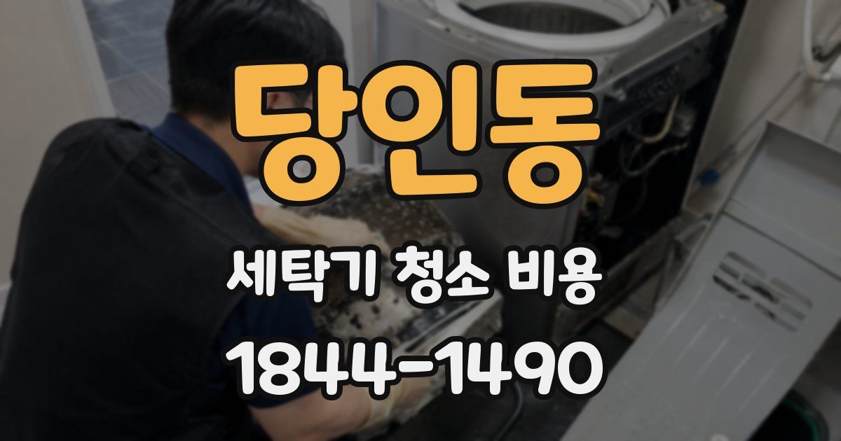 당인동 세탁기 청소 비용