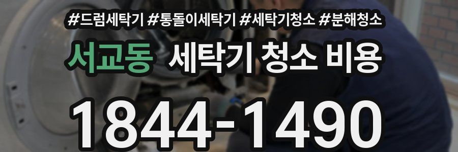 서교동 세탁기 청소 비용