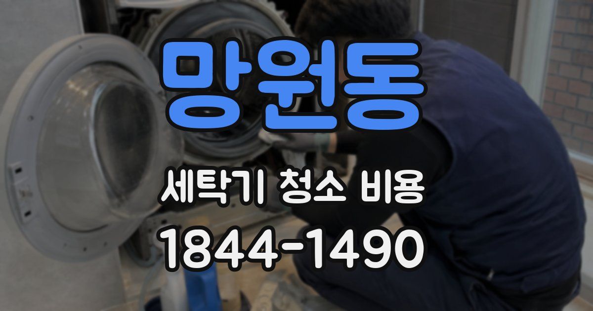 망원동 세탁기 청소 비용