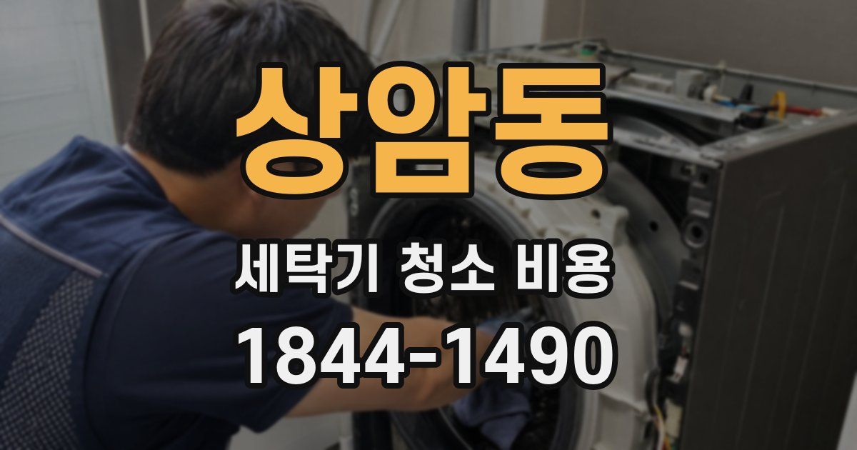 상암동 세탁기 청소 비용