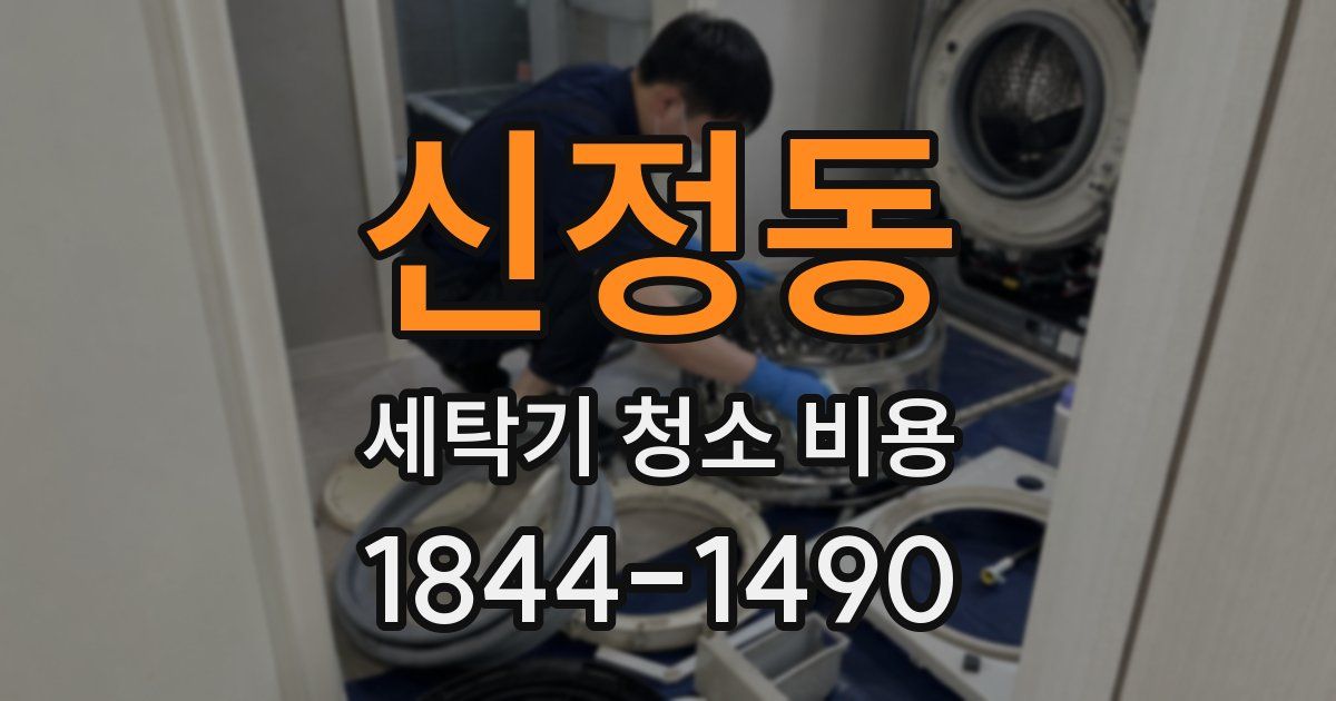신정동 세탁기 청소 비용