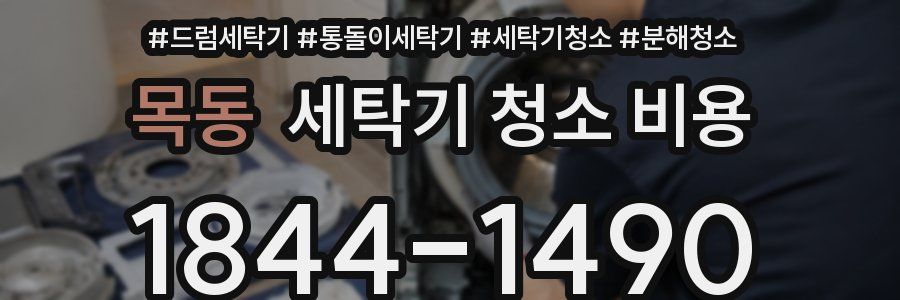 목동 세탁기 청소 비용