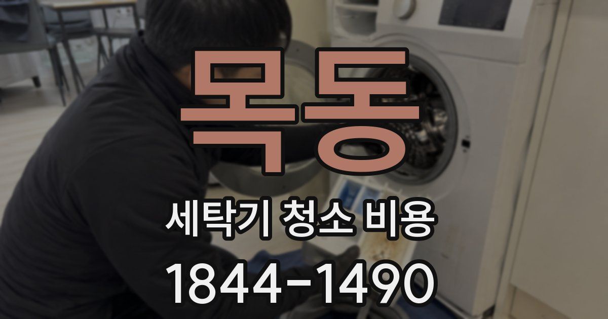 목동 세탁기 청소 비용