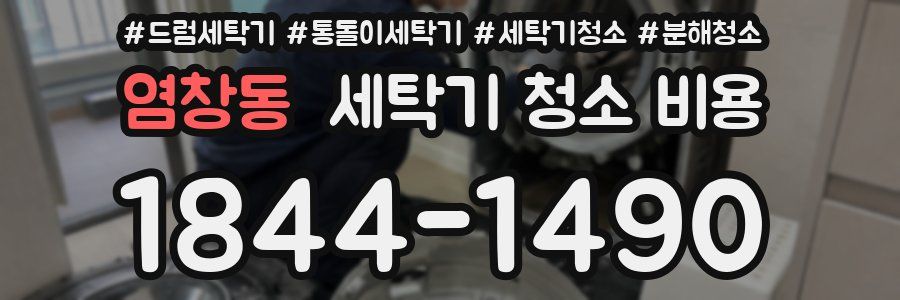 염창동 세탁기 청소 비용