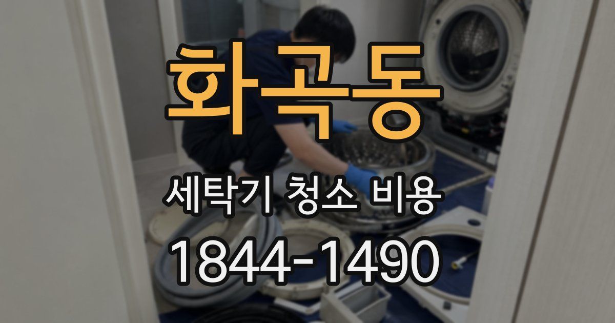 화곡동 세탁기 청소 비용
