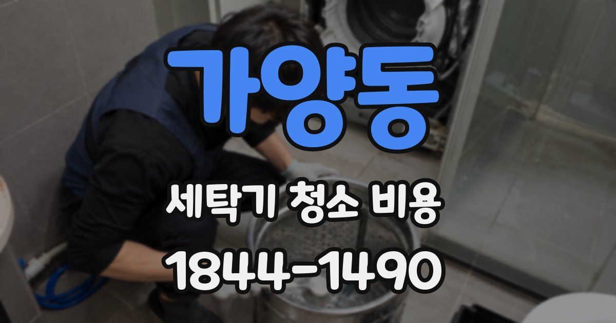 가양동 세탁기 청소 비용