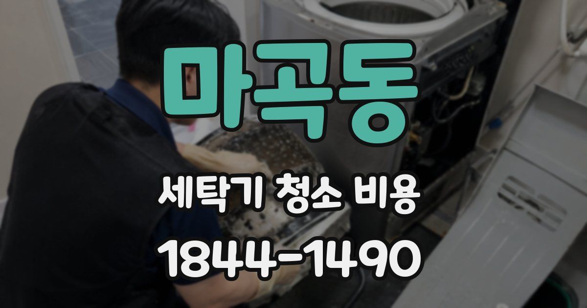 마곡동 세탁기 청소 비용