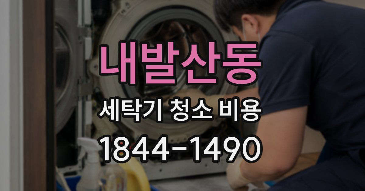 내발산동 세탁기 청소 비용