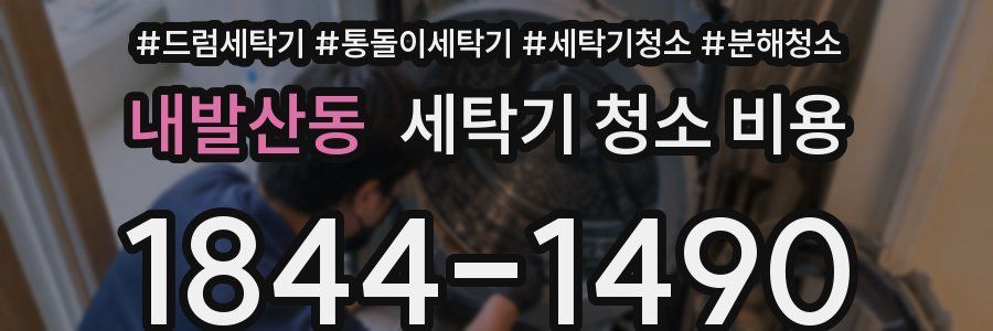 내발산동 세탁기 청소 비용