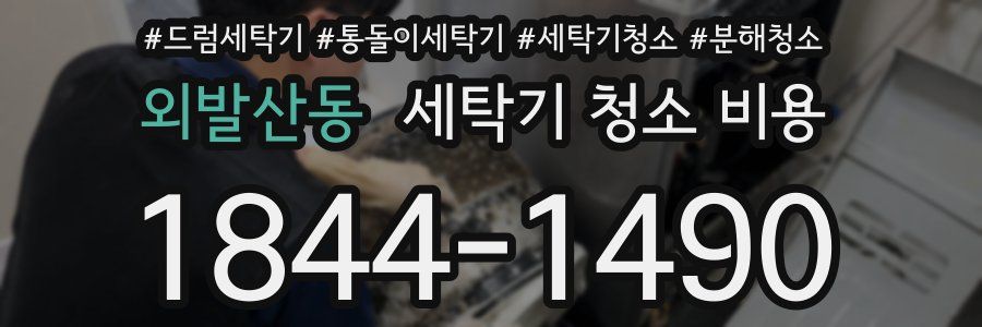 외발산동 세탁기 청소 비용