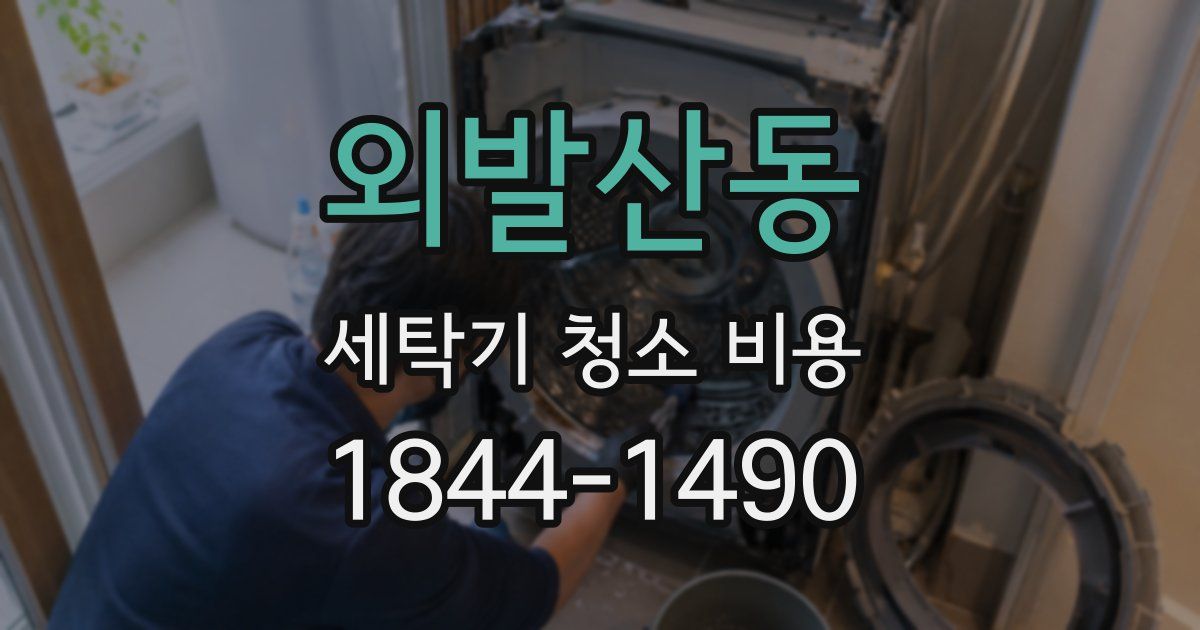 외발산동 세탁기 청소 비용