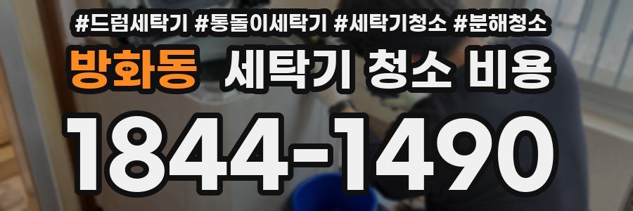 방화동 세탁기 청소 비용