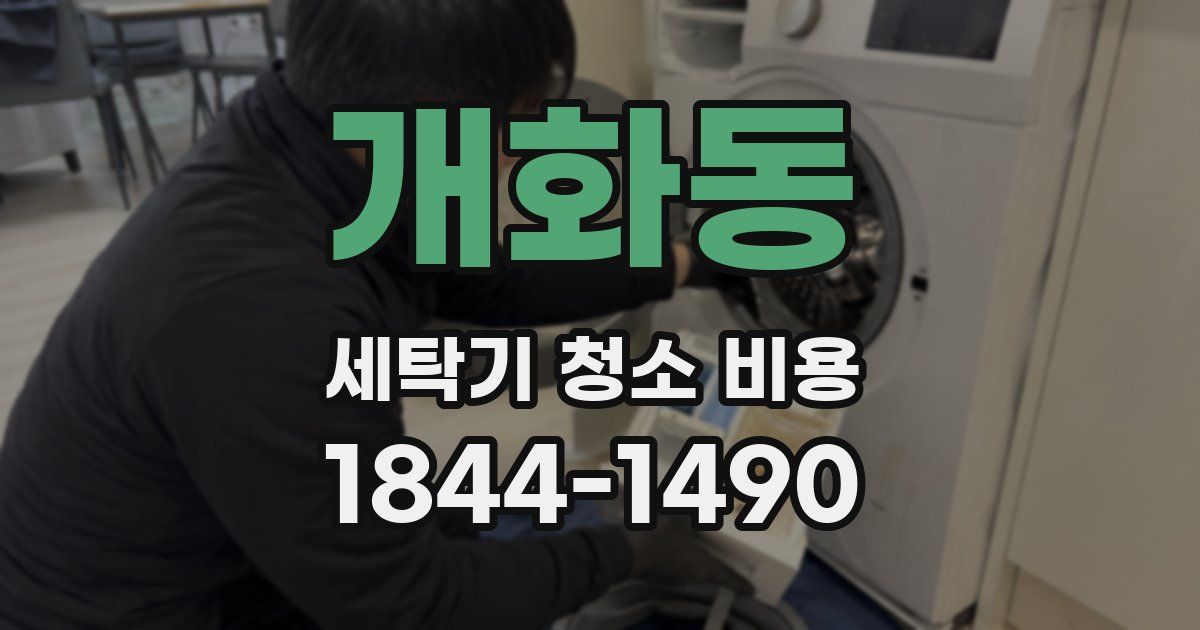 개화동 세탁기 청소 비용