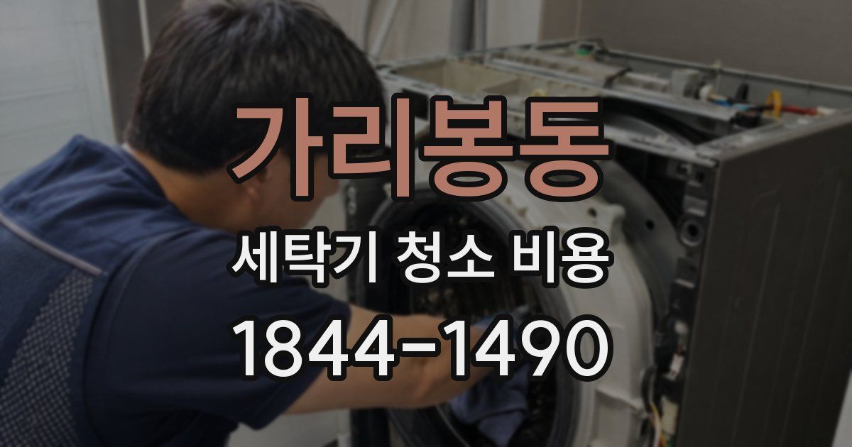 가리봉동 세탁기 청소 비용
