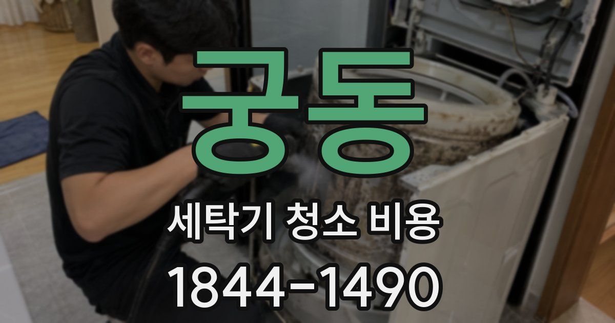 궁동 세탁기 청소 비용