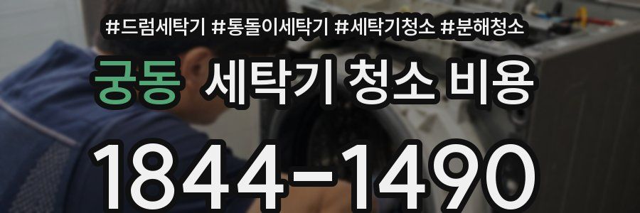 궁동 세탁기 청소 비용