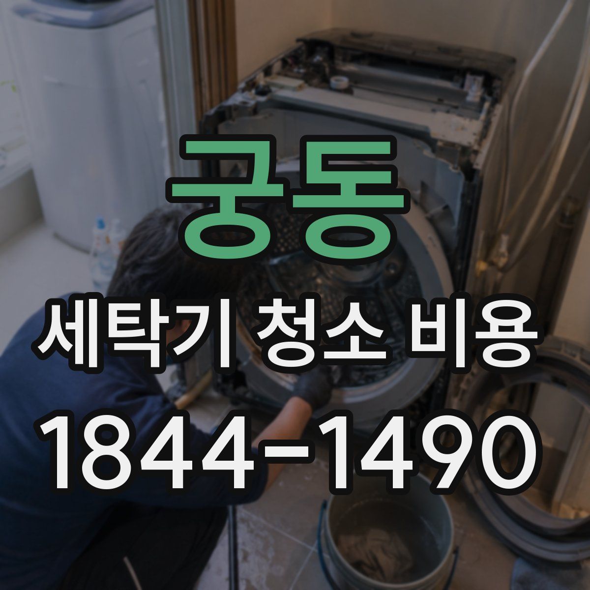 궁동 세탁기 청소 비용