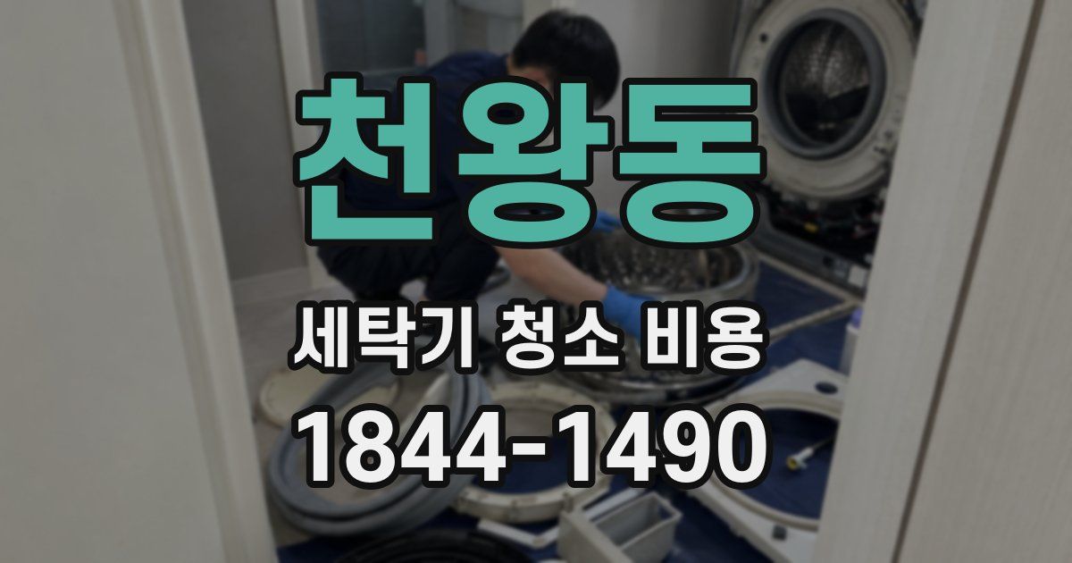 천왕동 세탁기 청소 비용