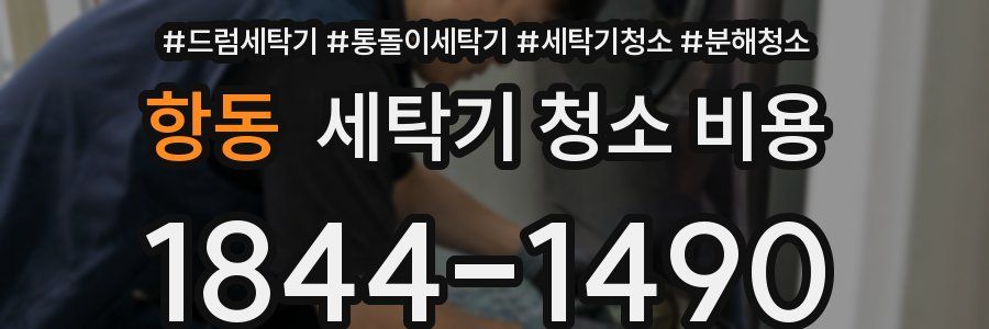항동 세탁기 청소 비용