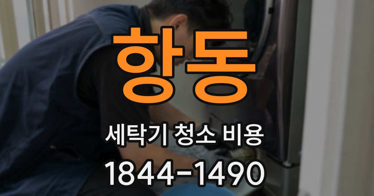 항동 세탁기 청소 비용
