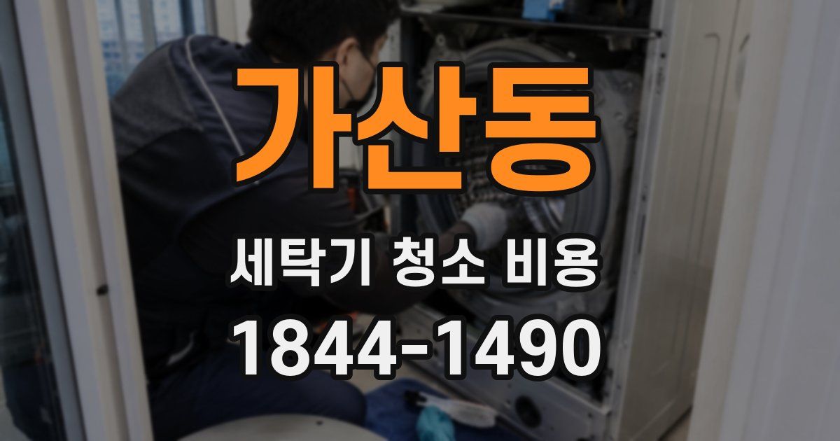 가산동 세탁기 청소 비용