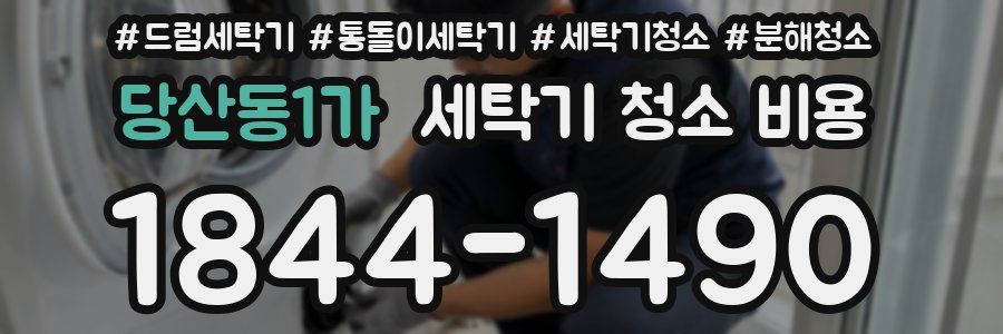 당산동1가 세탁기 청소 비용