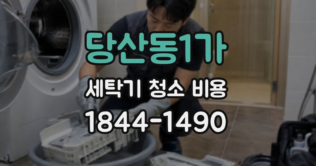 당산동1가 세탁기 청소 비용
