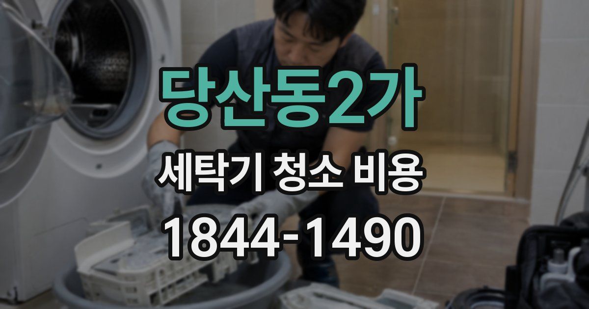 당산동2가 세탁기 청소 비용