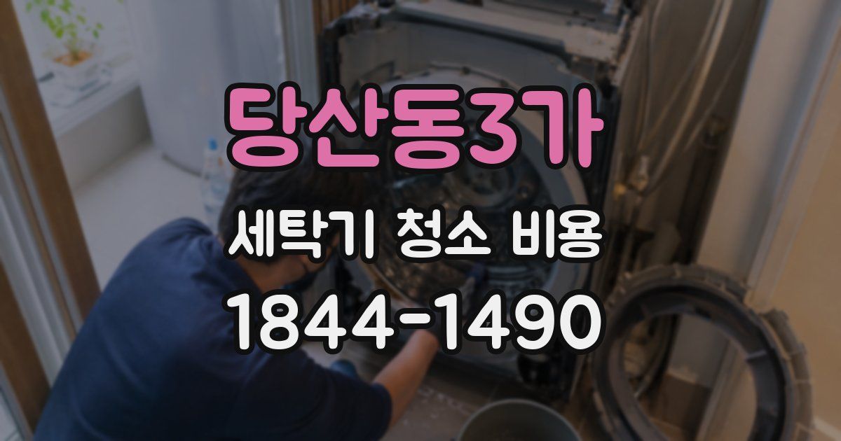 당산동3가 세탁기 청소 비용