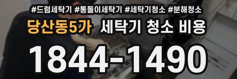 당산동5가 세탁기 청소 비용
