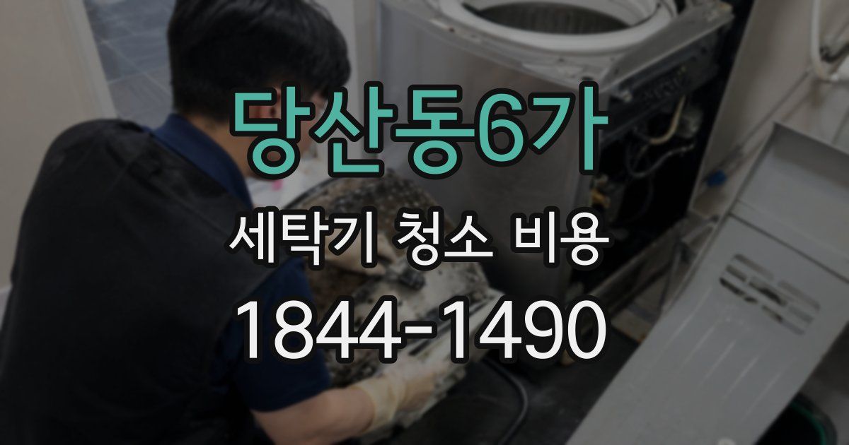 당산동6가 세탁기 청소 비용