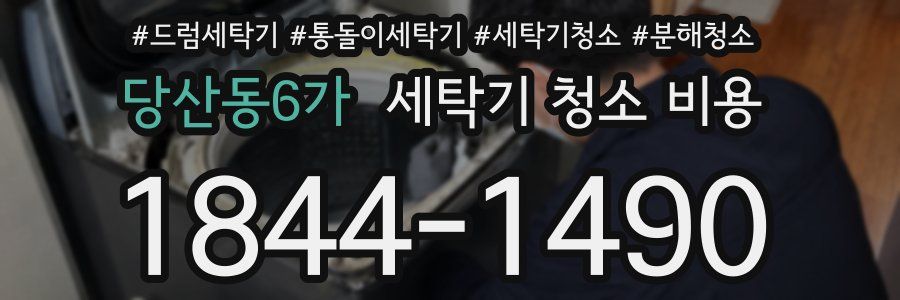 당산동6가 세탁기 청소 비용