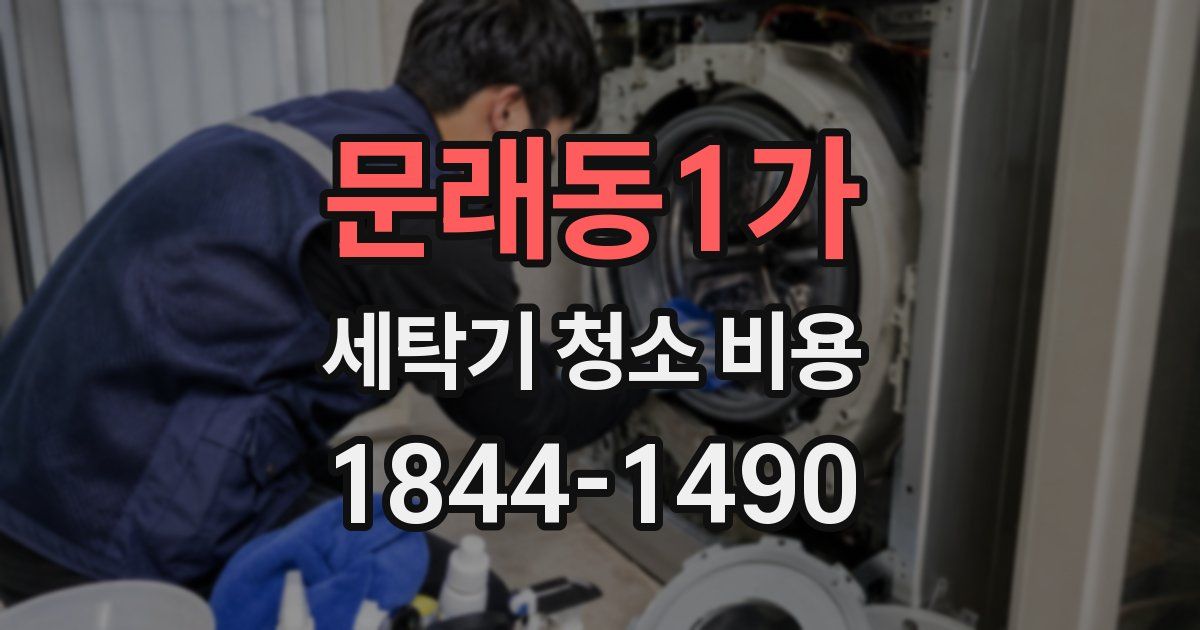 문래동1가 세탁기 청소 비용