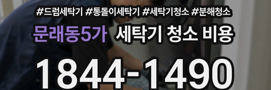 문래동5가 세탁기 청소 비용
