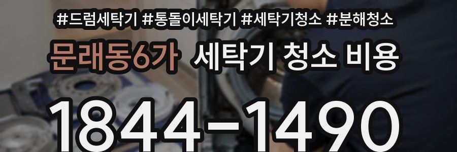 문래동6가 세탁기 청소 비용