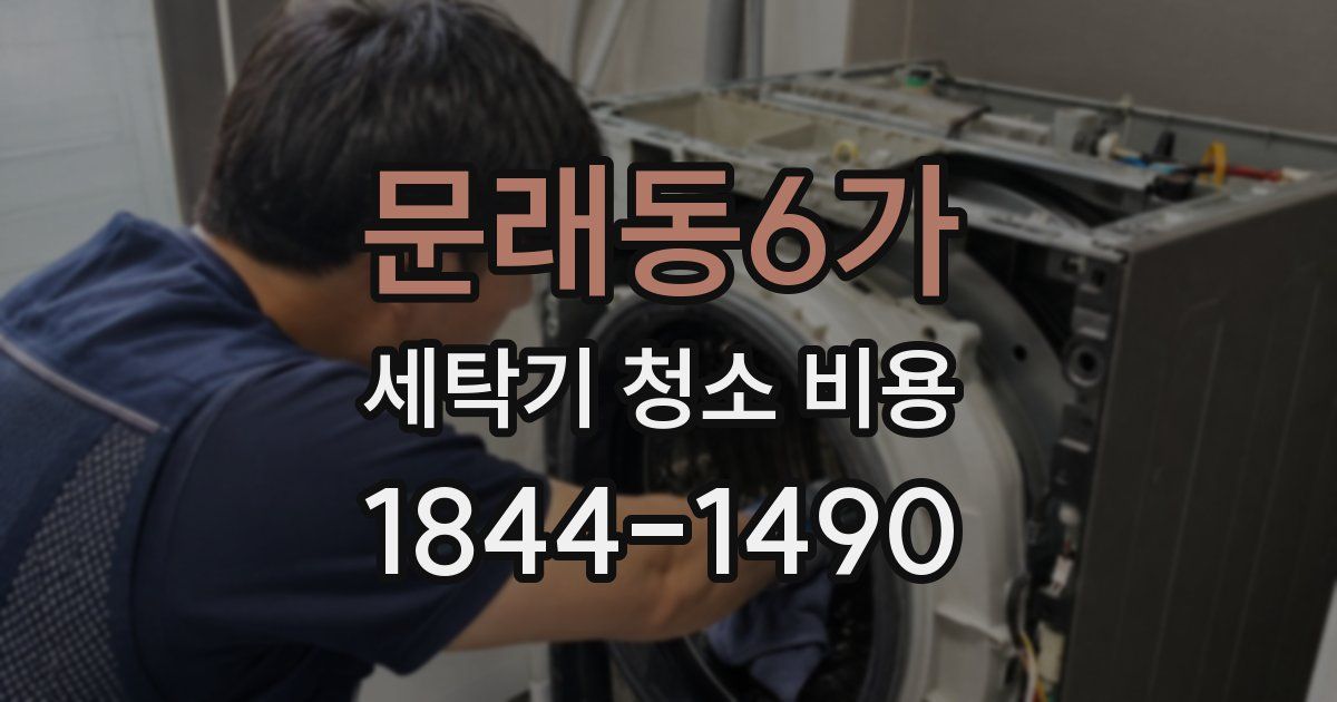 문래동6가 세탁기 청소 비용