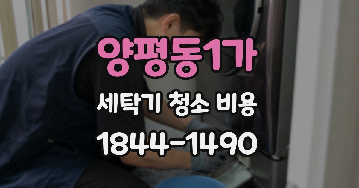 양평동1가 세탁기 청소 비용