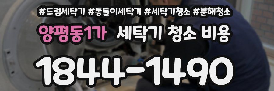 양평동1가 세탁기 청소 비용