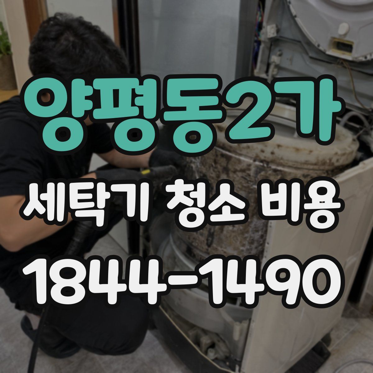 양평동2가 세탁기 청소 비용